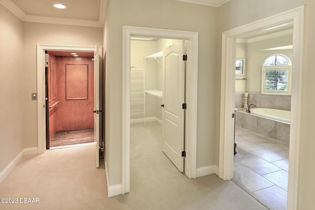 hallway featuring light colored carpet and crown molding