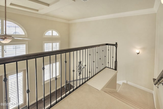 hall featuring crown molding and carpet