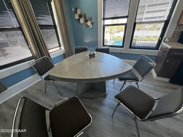 dining space with hardwood / wood-style flooring