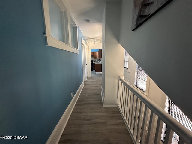 hallway with dark hardwood / wood-style flooring