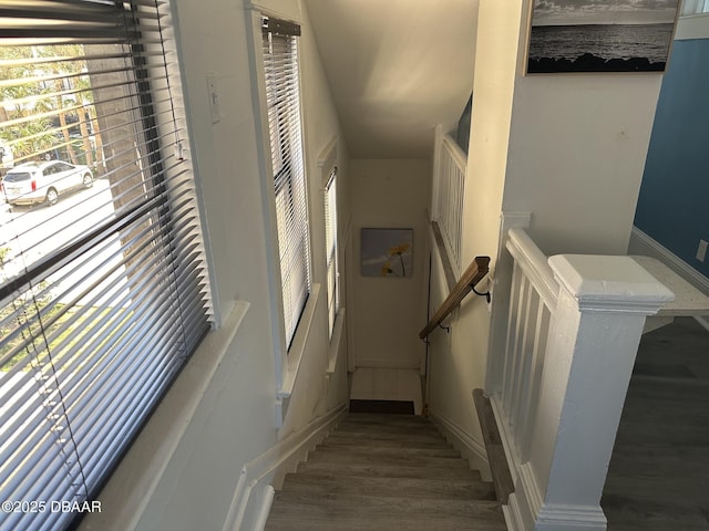 stairs with hardwood / wood-style floors