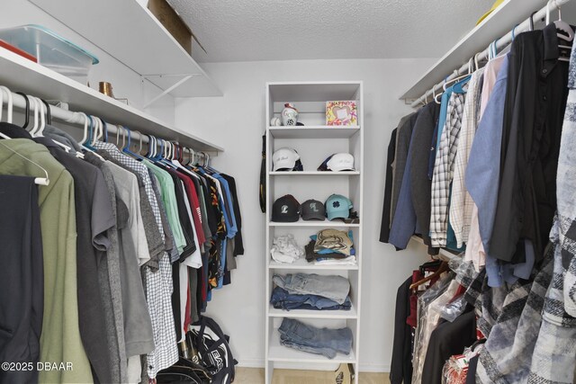 view of spacious closet