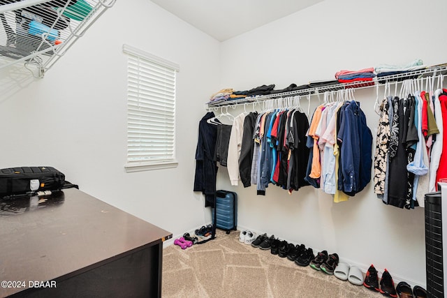 spacious closet with carpet