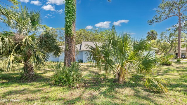5505 Magnolia Ave, Port Orange, FL 32127 - photo 34