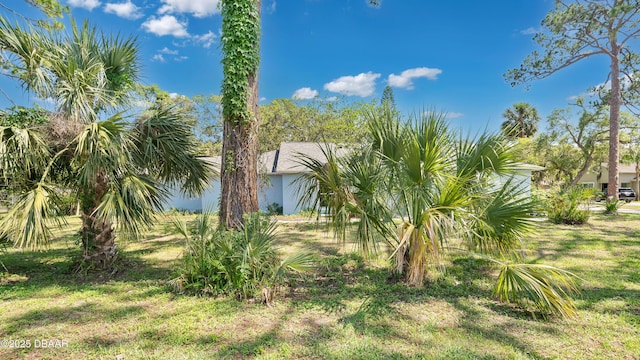 5505 Magnolia Ave, Port Orange, FL 32127 - photo 29