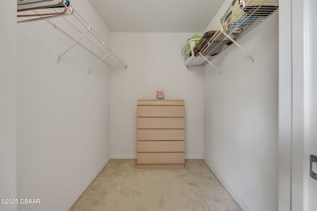 walk in closet featuring light carpet