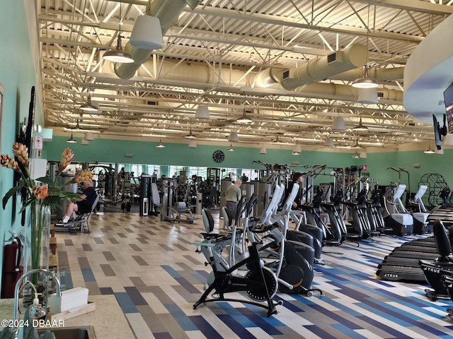 workout area featuring sink and carpet flooring