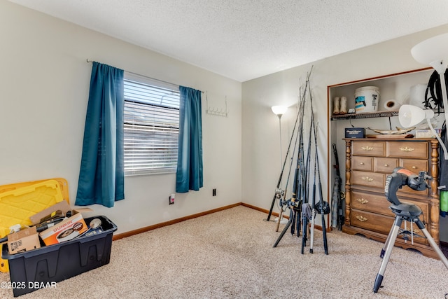 interior space with light colored carpet and a textured ceiling