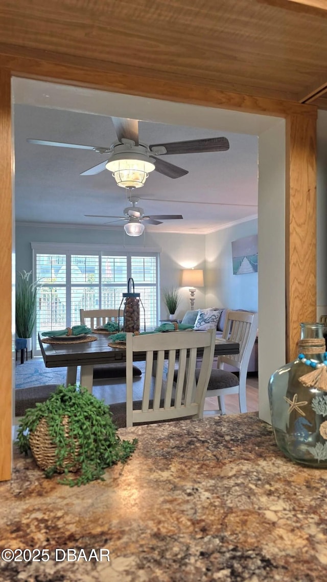 2820 Ocean Shore Blvd Unit 28, Ormond Beach, FL 32176 - dining room featuring healthy amount of natural light and ceiling fan