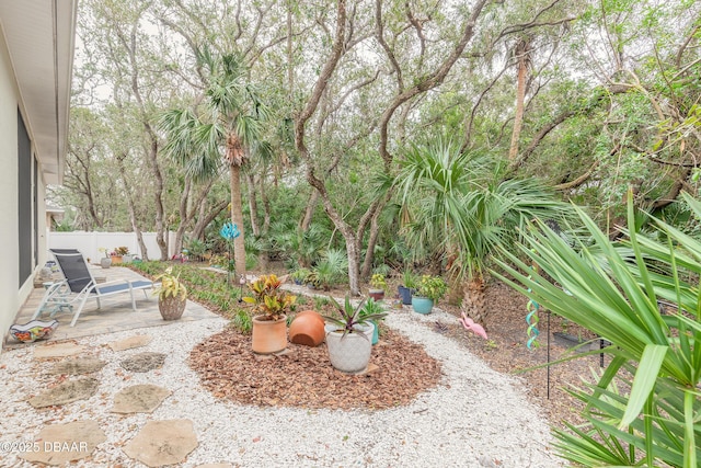 view of yard with a patio area