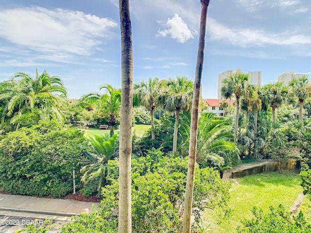 4 Oceans W Blvd Unit 307D, Daytona Beach Shores, FL 32118 - view of yard