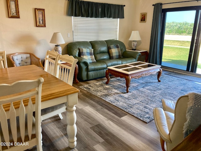 living room with hardwood / wood-style flooring