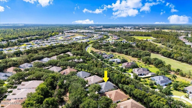 1316 Asher Ct, Ormond Beach, FL 32174 - aerial perspective of suburban area