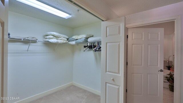 spacious closet featuring light carpet