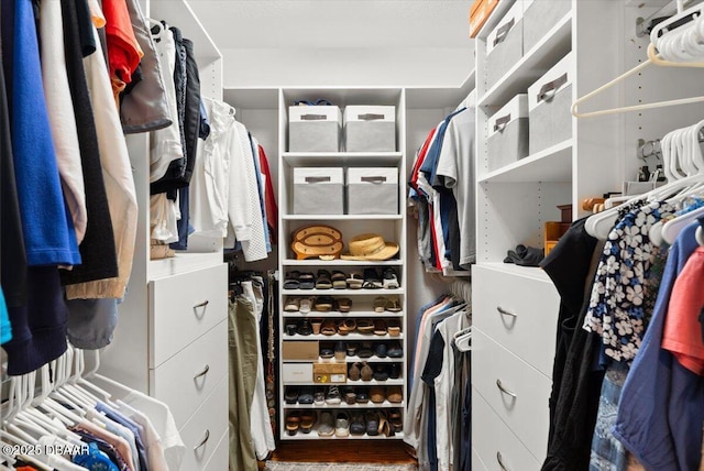 101 Azalea Cir, New Smyrna Beach, FL 32168 - view of walk in closet