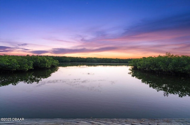 101 Azalea Cir, New Smyrna Beach, FL 32168 - water view