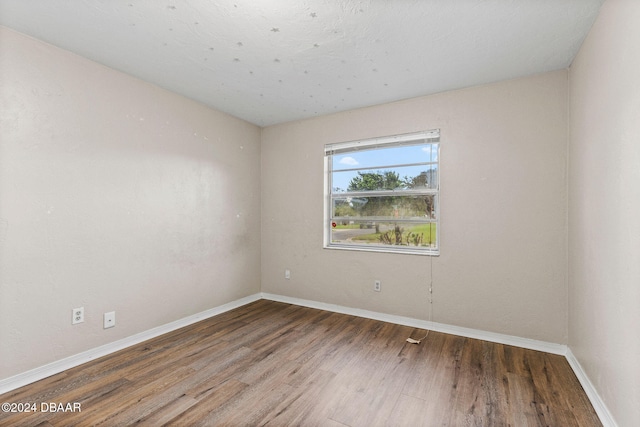 empty room featuring wood-type flooring