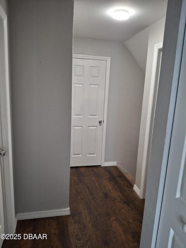 81 Springwood Sq, Port Orange, FL 32129 - hall with wood finished floors, baseboards, and lofted ceiling