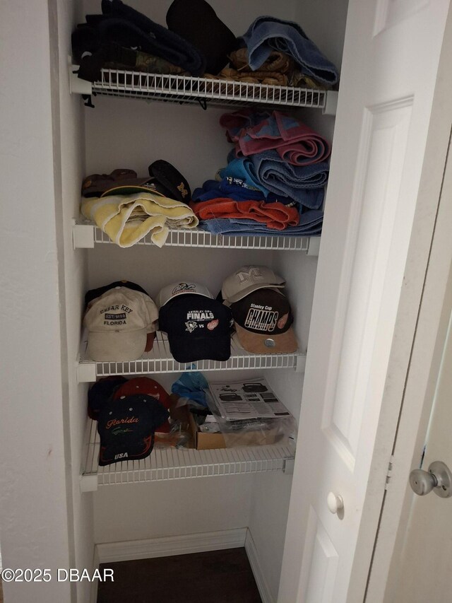 view of closet