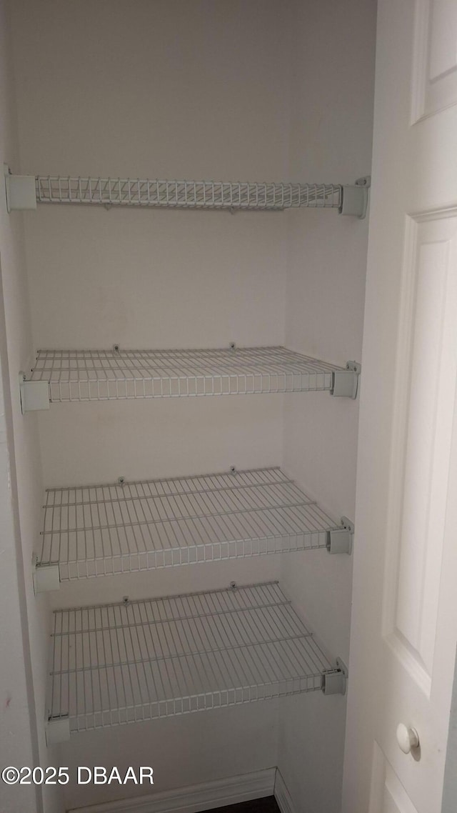 81 Springwood Sq, Port Orange, FL 32129 - view of pantry