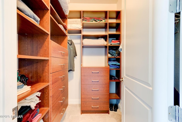 view of walk in closet