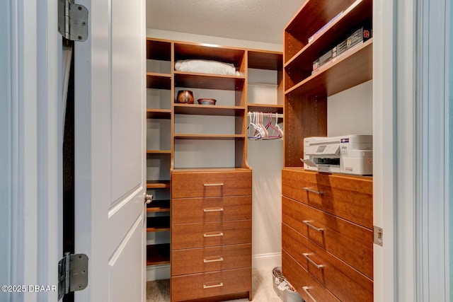 view of spacious closet