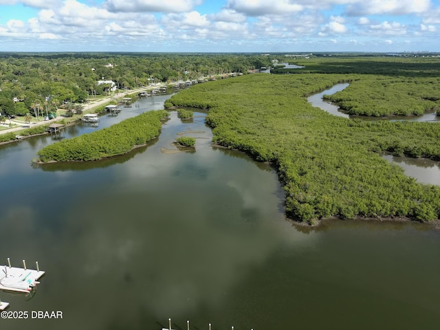 drone / aerial view with a water view and a wooded view