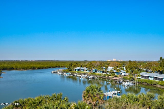 property view of water with a dock