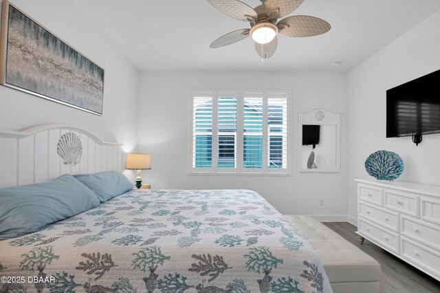 500 Landshark Blvd, Daytona Beach, FL 32124 - photo 18