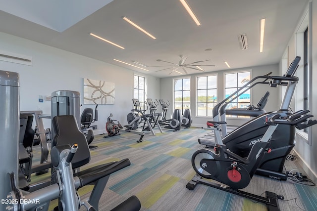 557 Mosaic Blvd, Daytona Beach, FL 32124 - exercise room with carpet flooring, baseboards, and a ceiling fan