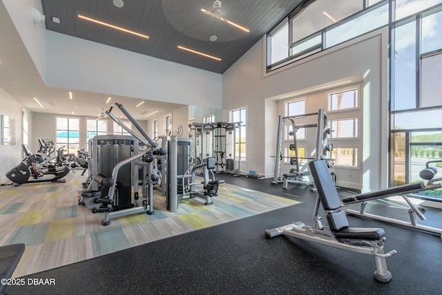 557 Mosaic Blvd, Daytona Beach, FL 32124 - workout area featuring a towering ceiling and baseboards