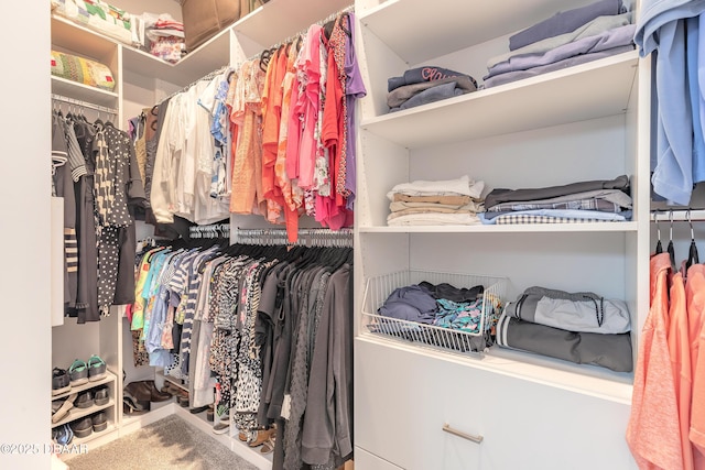 557 Mosaic Blvd, Daytona Beach, FL 32124 - view of walk in closet