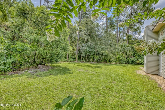 887 Sugar House Ct, Port Orange, FL 32129 - view of green lawn