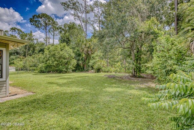 887 Sugar House Ct, Port Orange, FL 32129 - view of green lawn