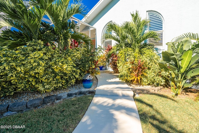 view of home's community with a yard
