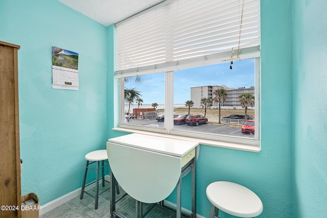 935 S Atlantic Ave Unit 211, Daytona Beach, FL 32118 - dining area with a textured wall and a textured ceiling