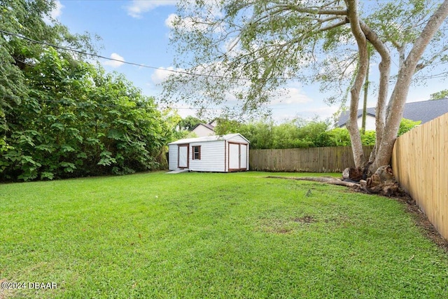 view of yard featuring a storage shed