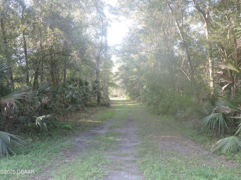 0000 County Road 2006 W, Bunnell, FL 32110 - photo 1