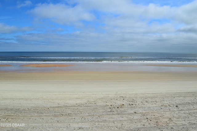 water view featuring a beach view