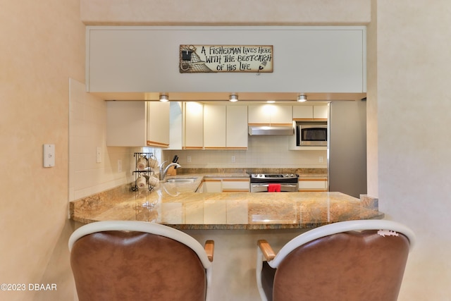 kitchen with range hood, decorative backsplash, appliances with stainless steel finishes, a sink, and a peninsula