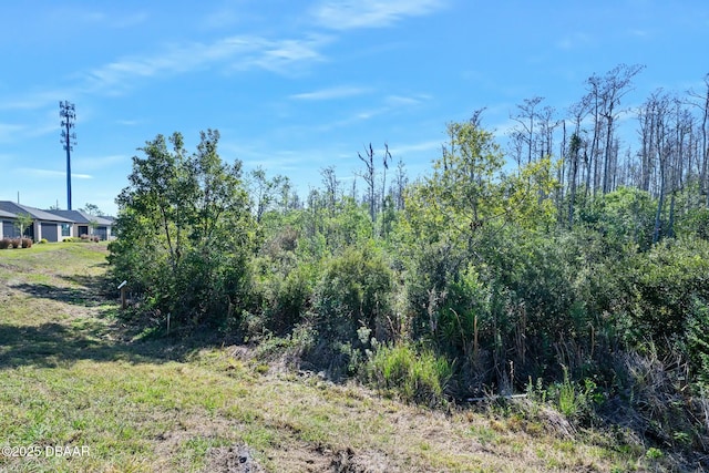 1372 Lombardi Ct, Poinciana, FL 34759 - view of nature