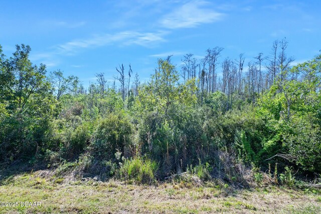 1372 Lombardi Ct, Poinciana, FL 34759 - view of nature