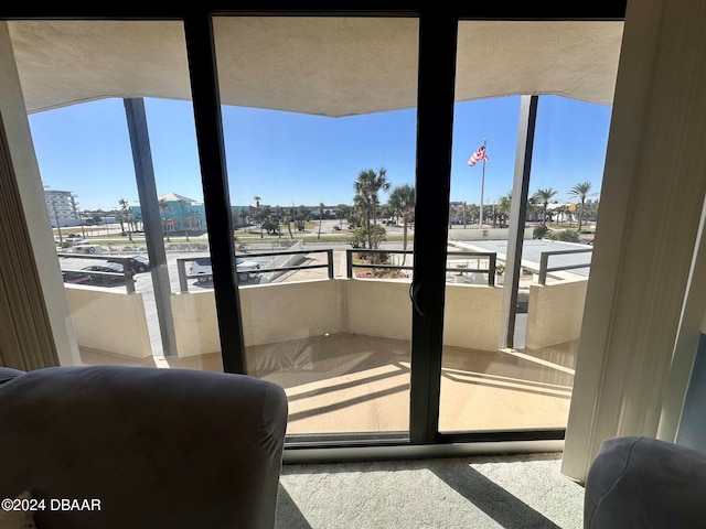 entryway with a healthy amount of sunlight