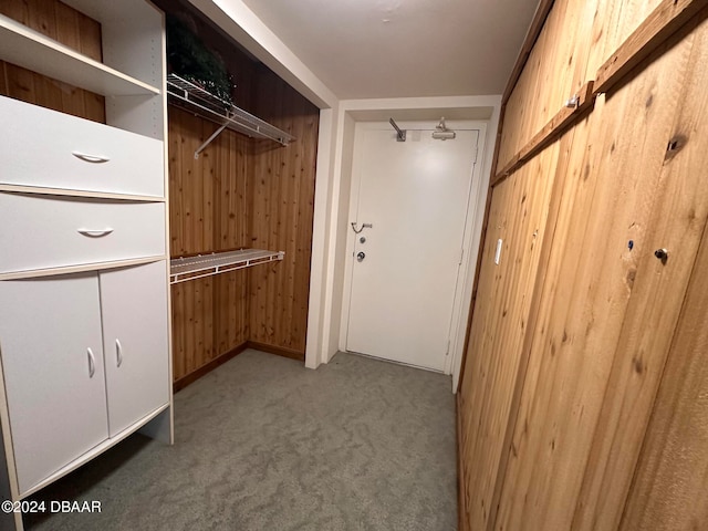 walk in closet with carpet flooring