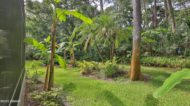 35 Carriage Creek Way, Ormond Beach, FL 32174 - photo 35