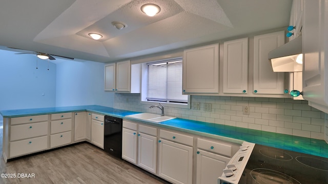8 Fox Run Trl, Ormond Beach, FL 32174 - kitchen featuring range hood, dishwasher, a tray ceiling, a peninsula, and white cabinetry