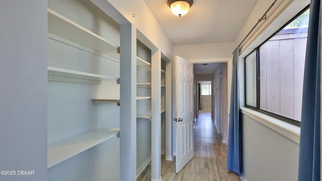 8 Fox Run Trl, Ormond Beach, FL 32174 - corridor featuring light wood finished floors and baseboards