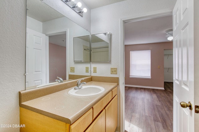 bathroom featuring wood-type flooring and vanity