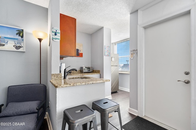 interior space featuring a sink, a textured ceiling, baseboards, and wood finished floors