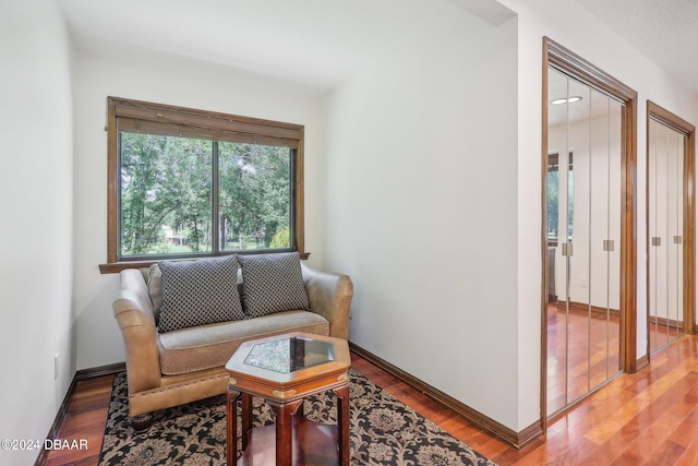 sitting room with wood-type flooring